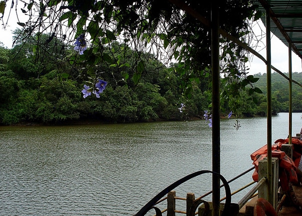 Mayem Lake