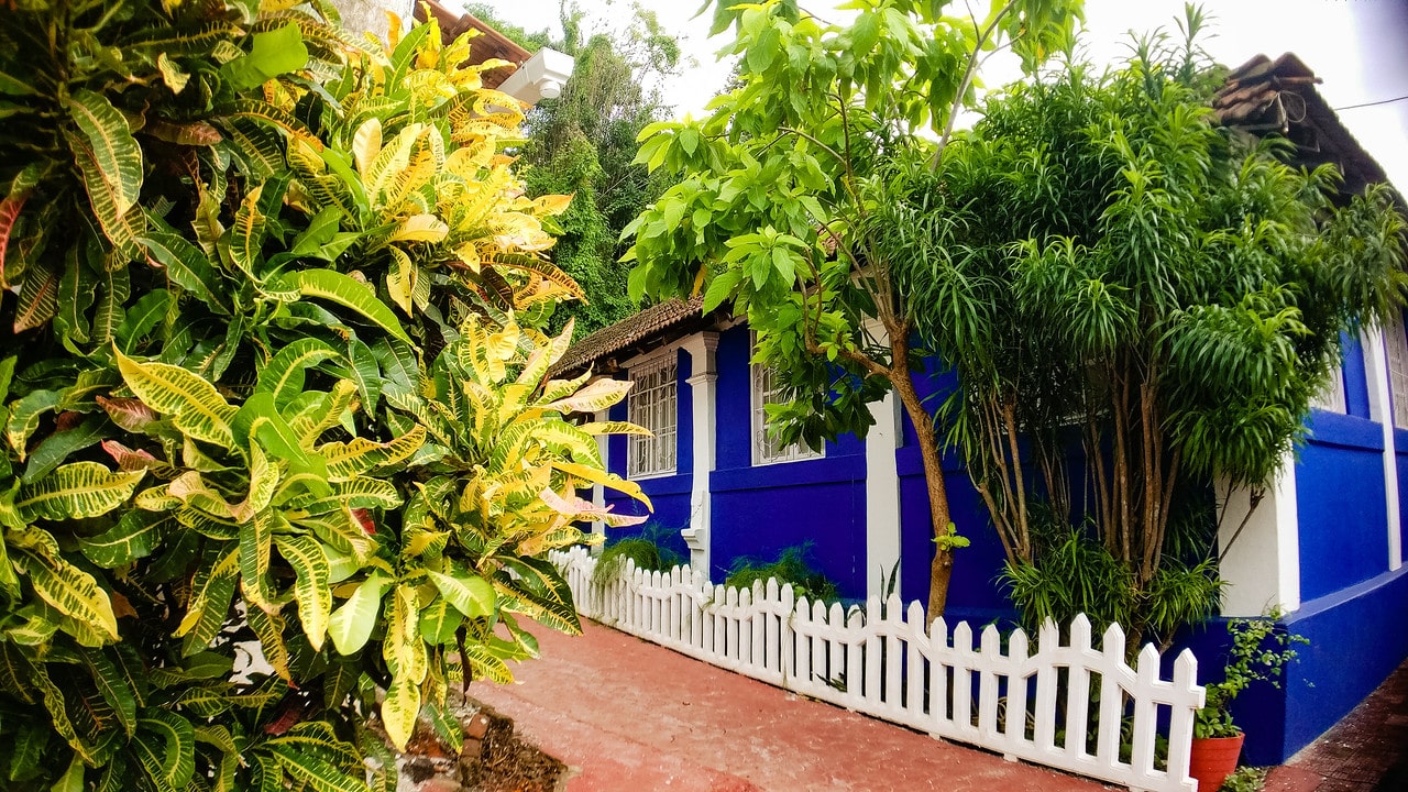 Latin Quarters At Panjim