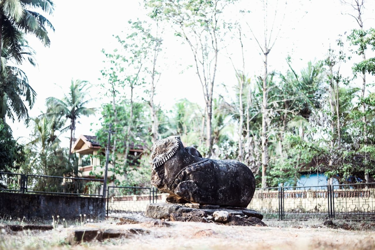 Headless Nandi - Village of Chandor