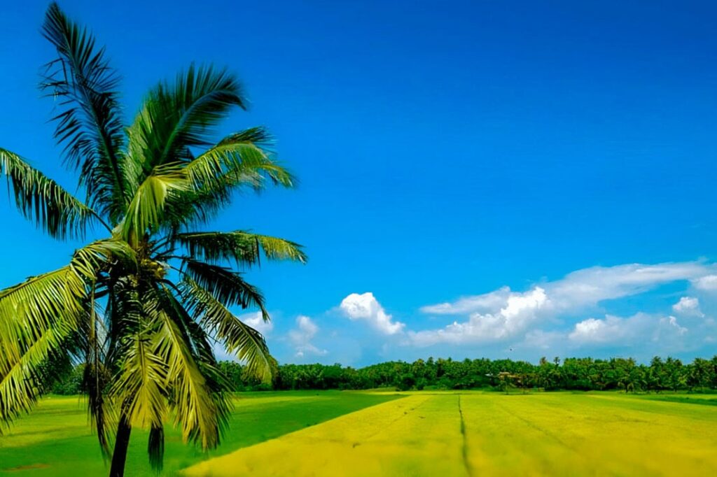 sustainability-at-beleza