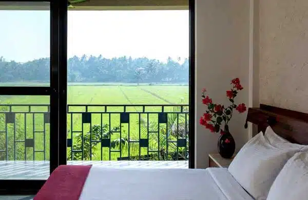 paddy-view-room-b.jpg