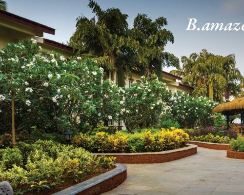 Explore-Goa-Tour-Package-Beleza-Goa
