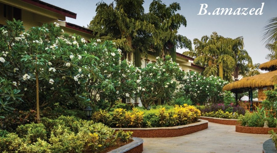 Explore-Goa-Tour-Package-Beleza-Goa
