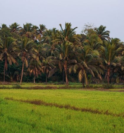 Goa-Travel-Food-Beaches-and-more