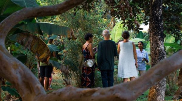 garden-tour-activity