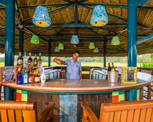 paddy-bar-04